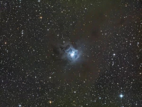 NGC 7023 Irisnebel, 36x300s RGB, Touptek 16000c -10 °C, Newton 150mm/750mm, L. Stachowski